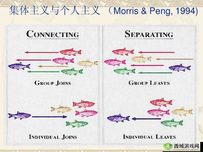 欧美人与Z○O的跨文化互动:探索不同背景下的交流与理解