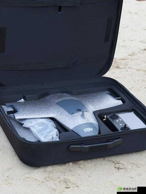 探索美国版b站仙踪林的独特功能:如何利用其创新特性提升用户体验与内容发现