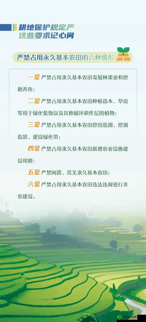 耕了母亲荒土地:如何有效开垦与种植,提升农田产量与生态平衡