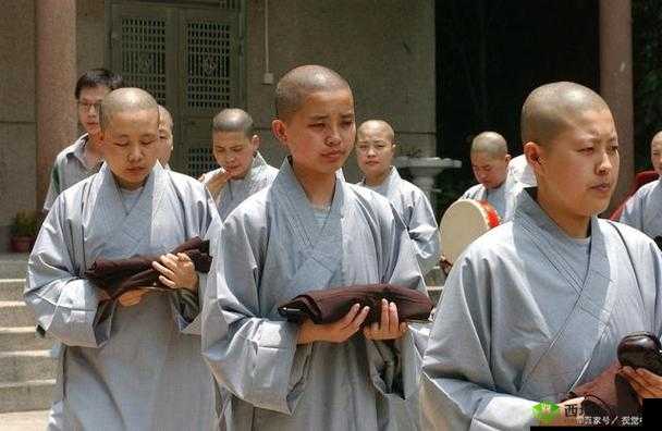 尼姑在佛教中被称为什么?深入探究尼姑的各种称呼及含义