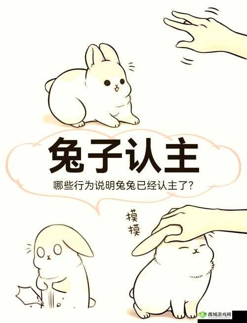如何评价兔子漫画作者？