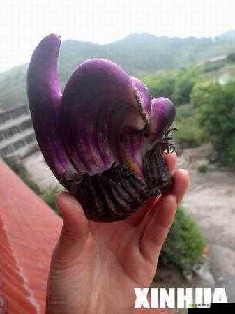 🔞男生🍆❌男生🍑里免费看:探索隐秘的男性情感世界与心理变化