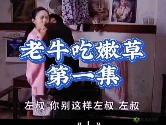 嫩草影视:探究一二三四的魅力与价值