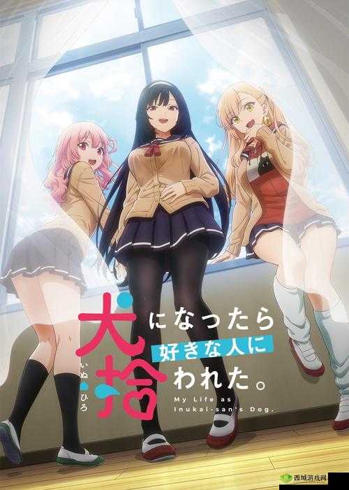 国产一区二区三区四区精品,你看过几部?