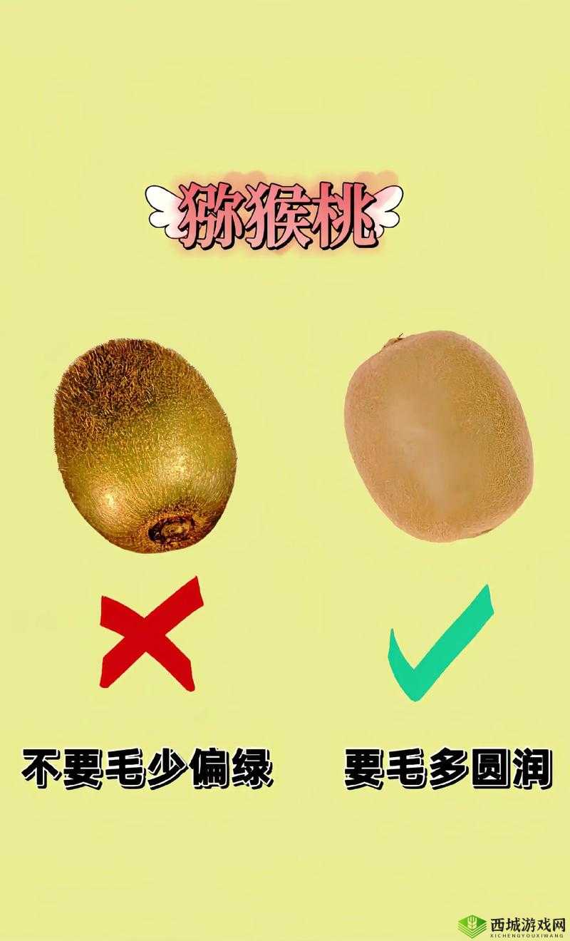 如何选择适合自己的水果?荔枝、香蕉、草莓、茄子、丝瓜,你更爱哪一个?