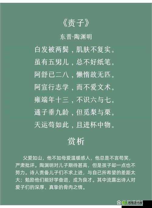 唯美诗词展现父女情深，百度 SEO 优化助力脱颖而出