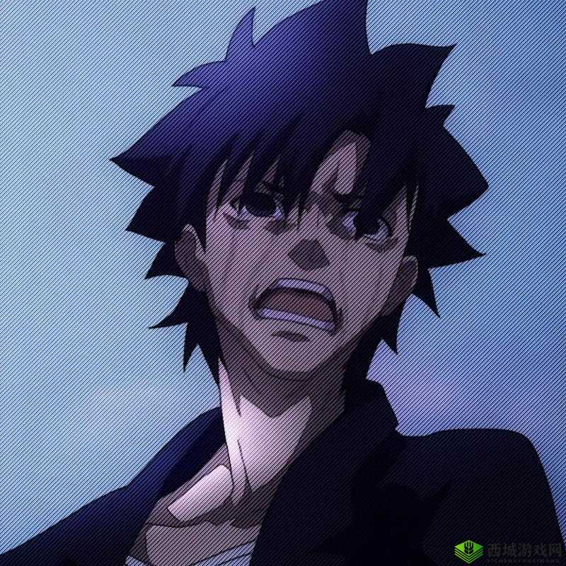 在探索圣杯战争的真相之路上,卫宫切嗣能否实现自己的理想?