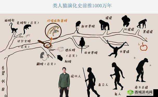 人马是马还是人?揭秘人马族的神秘起源