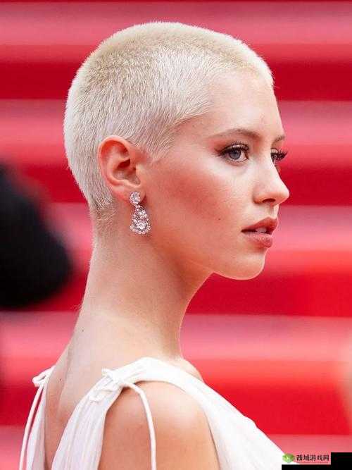 寸头挑战圣诞特别篇入口:揭秘独特发型与节日氛围的完美结合,探索更多精彩内容