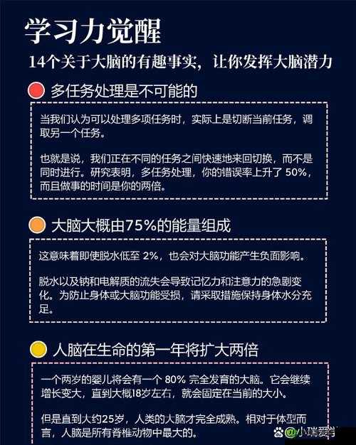 Brain Test第13关攻略解析,资源管理、高效利用与避免资源浪费