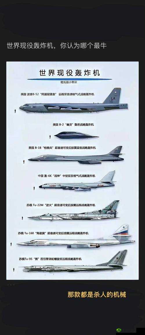 恶果之地轰炸鸡怎么样?武器属性与使用技巧介绍