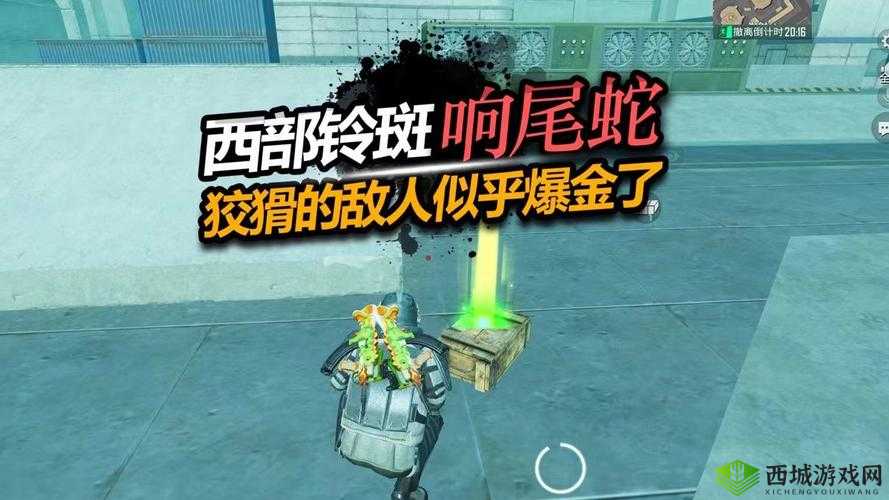 未来风暴响尾蛇怎么玩,响尾蛇玩法技巧攻略