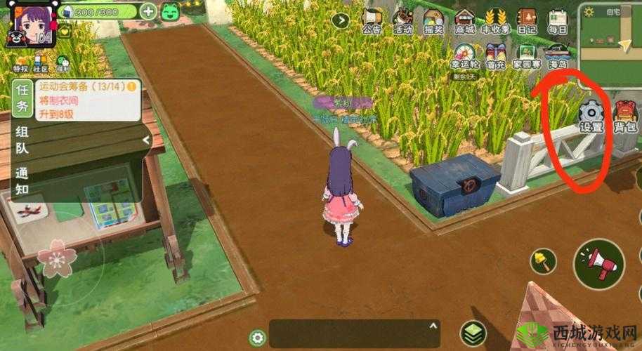 小森生活三级收纳箱怎么获得，收纳箱获得及使用介绍