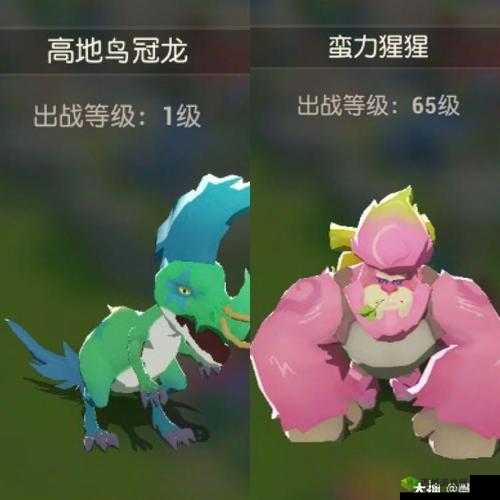 海岛纪元宠物图鉴大全,所有宠物捕捉培养攻略的资源管理艺术