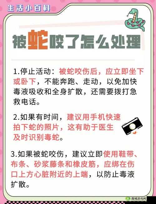 希望之村被蛇咬了怎么办?翻车被蛇咬处理方法介绍