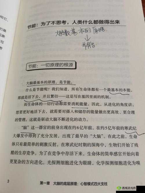 脑洞大侦探找隐藏第二关攻略,底层逻辑与操作映射的深度剖析