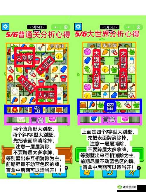 动物安排员第8关三星通关秘籍，智慧与策略的完美碰撞