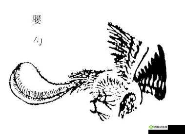 山海镜花婴勺技能属性图鉴，N卡婴勺厉害吗？及未来玩法革命预测