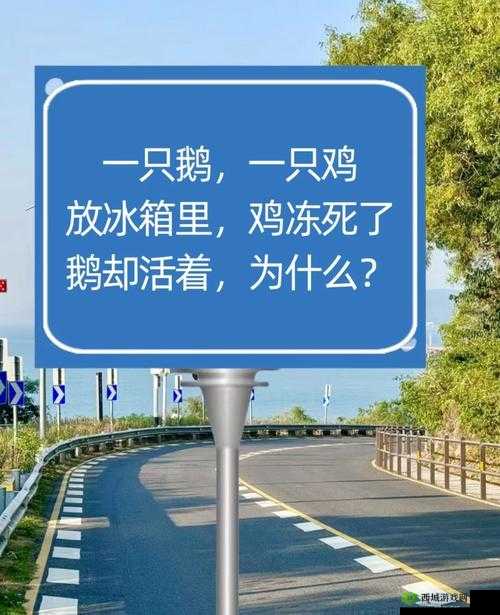 这题太难了第13关怎么过?小狗去哪儿了通关攻略的演变史