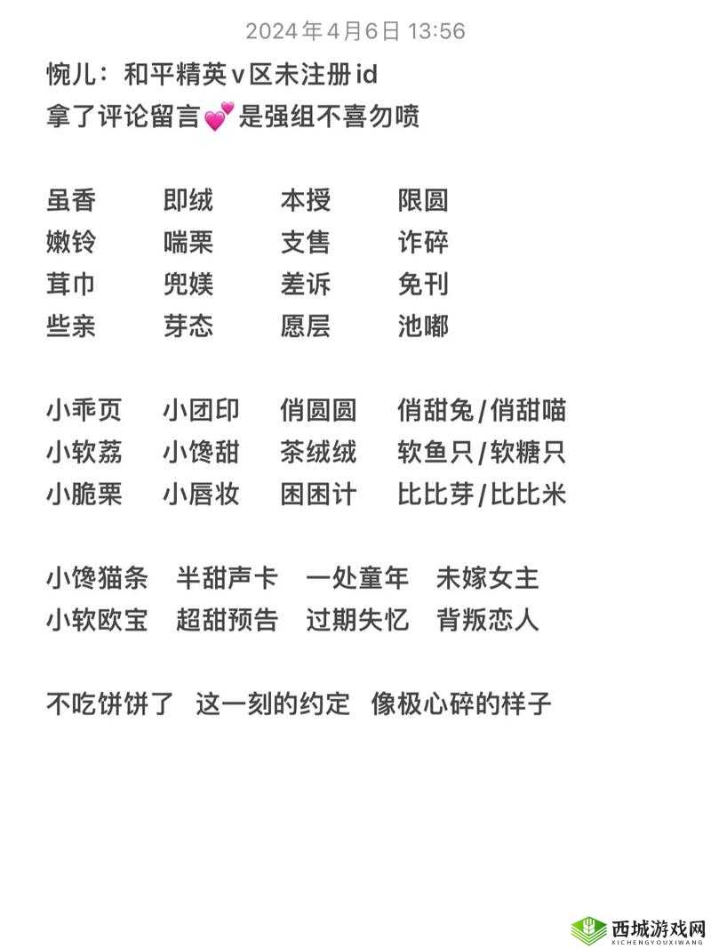 抖音吃鸡游戏的名字,资源管理、高效利用与避免浪费的策略