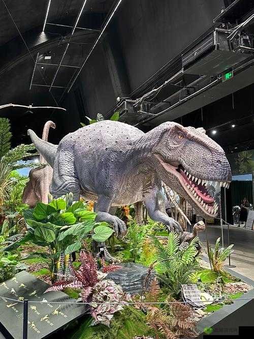 解锁圆顶龙,化石博物馆的奇妙探索之旅
