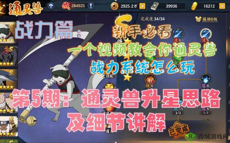 火影忍者手游通灵兽培养全攻略:如何突破极限,打造最强战斗伙伴?