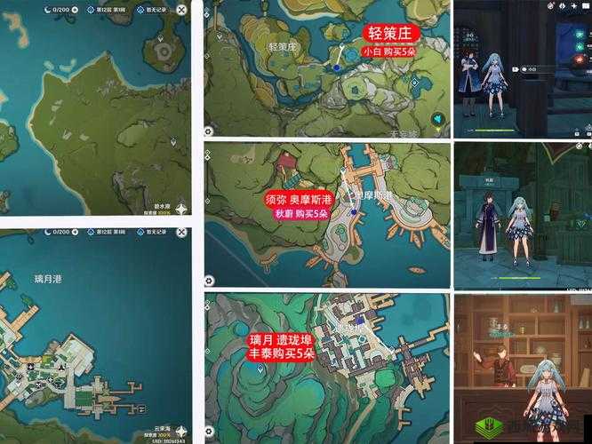 梦浮灯花瓣必看攻略！3天速刷技巧+隐藏地图掉落点大公开