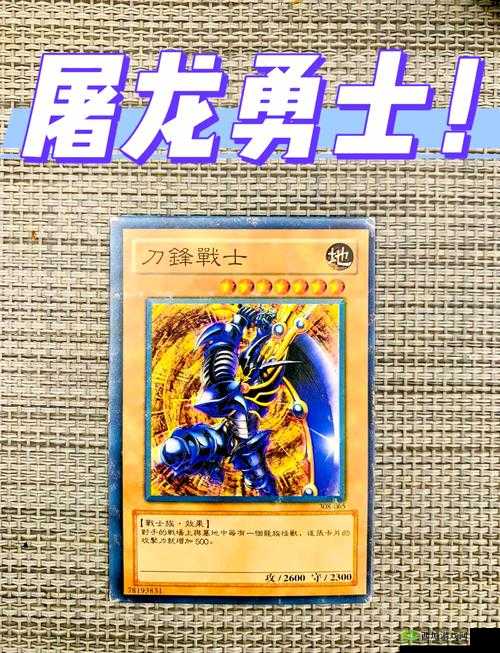 拔剑称王龙选择必看！超全培养攻略助你秒变大神