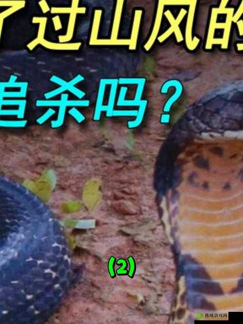 玩过都说上头!超简单却停不下来的蛇蛇碰碰碰,真相太戳人了!